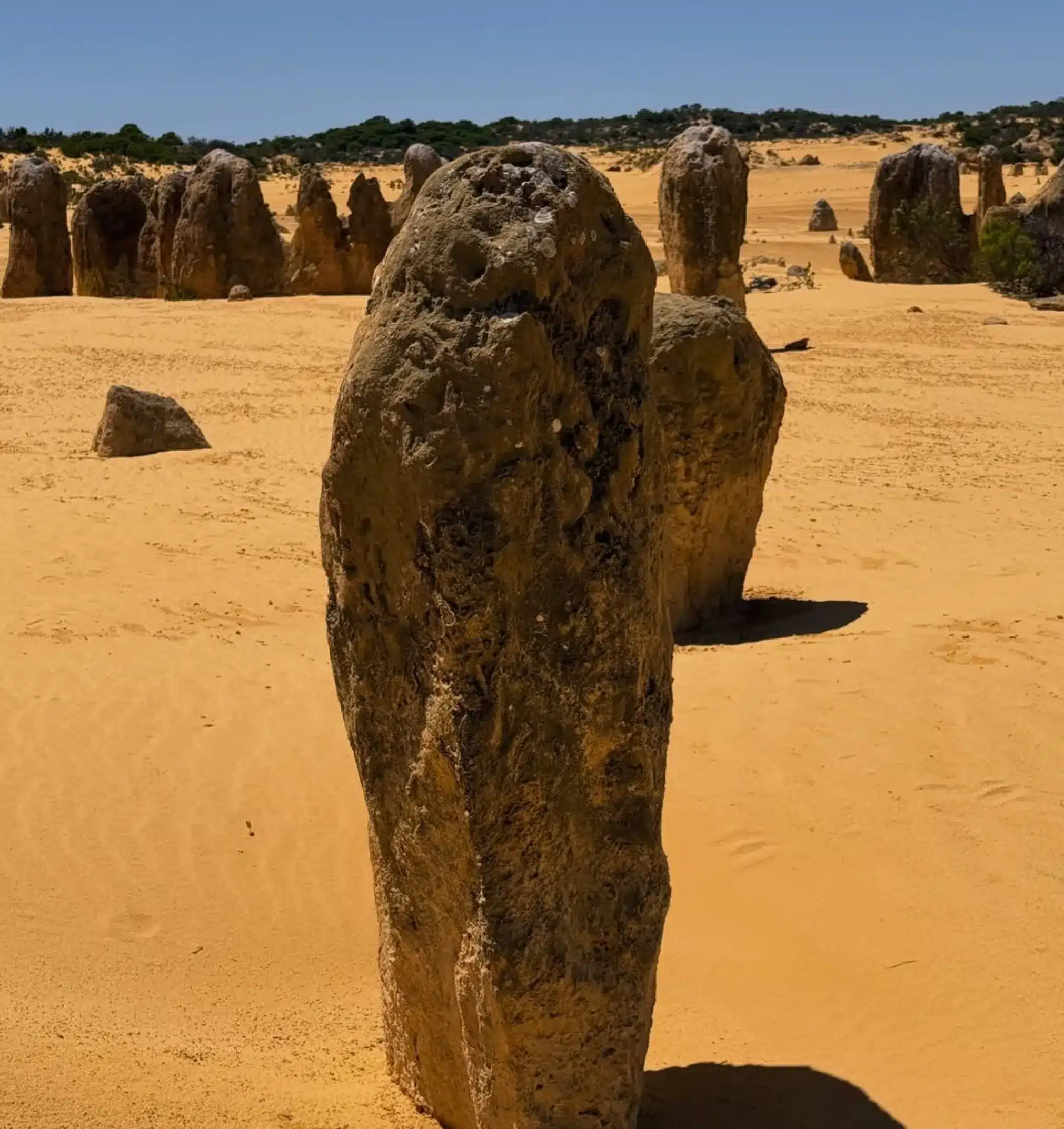 Pinnacles Desert