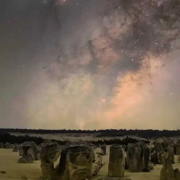 Pinnacles Tours