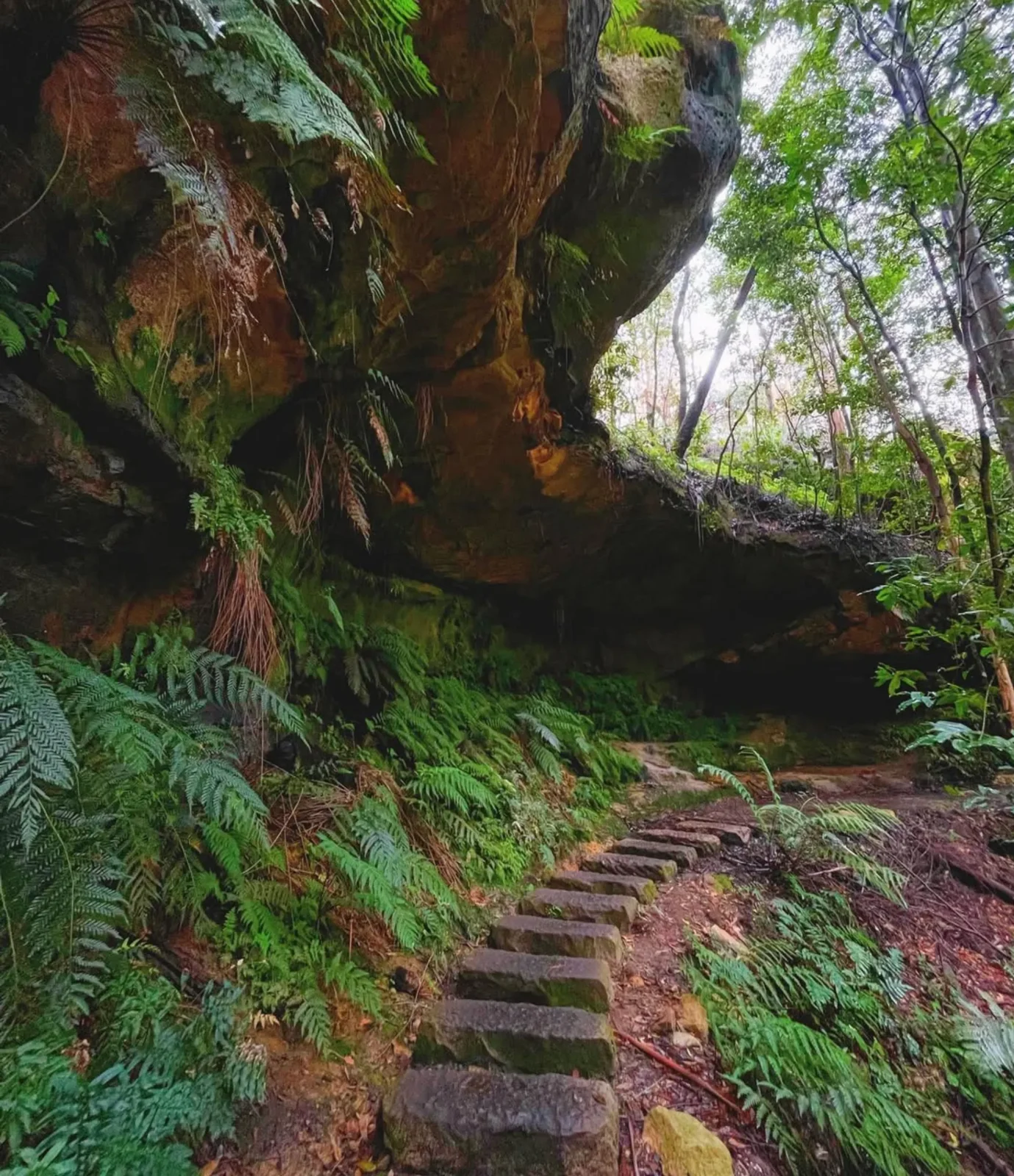 Prince Henry Cliff Walk In The Blue Mountains
