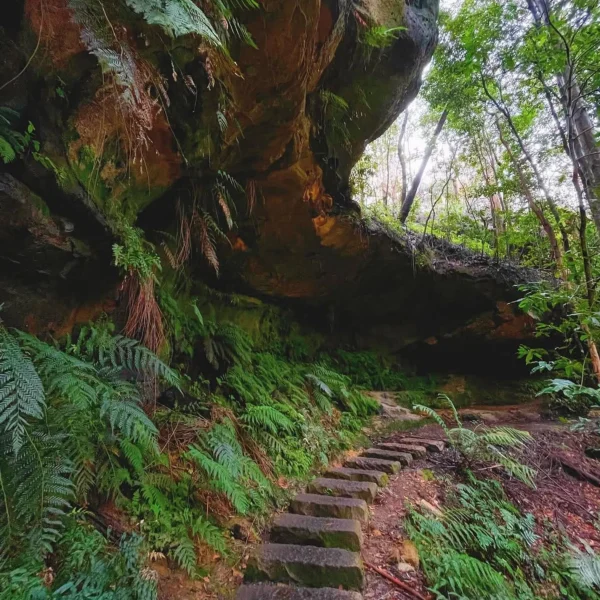 Prince Henry Cliff Walk In The Blue Mountains