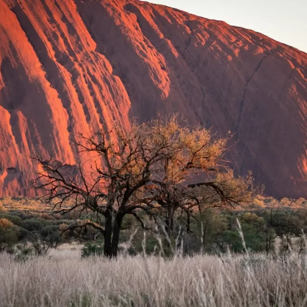 Quick Day Trip uluru