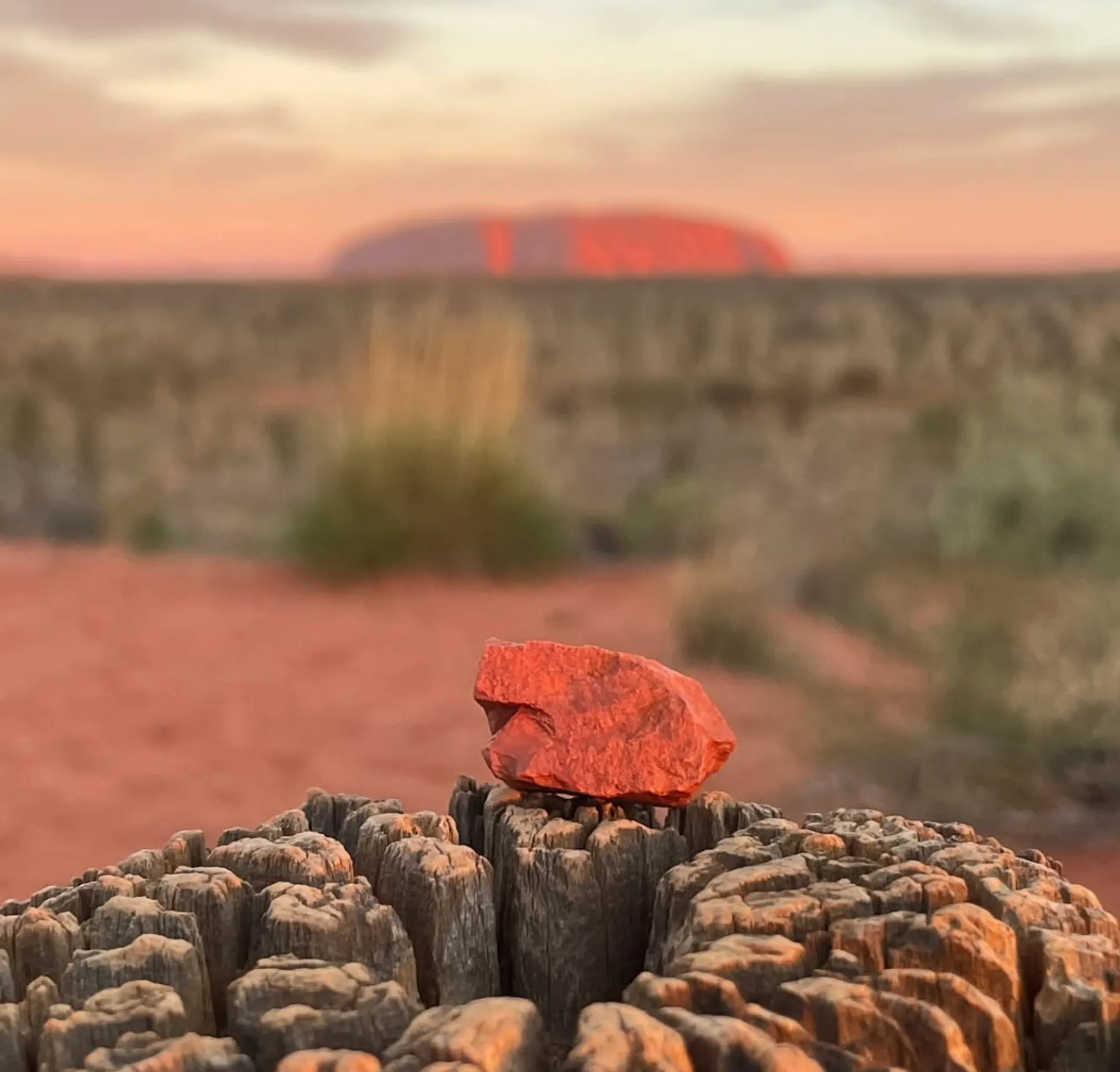 Red Centre bush camping