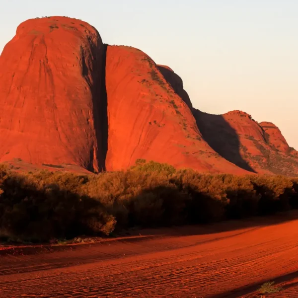 Seasonality in the Red Centre