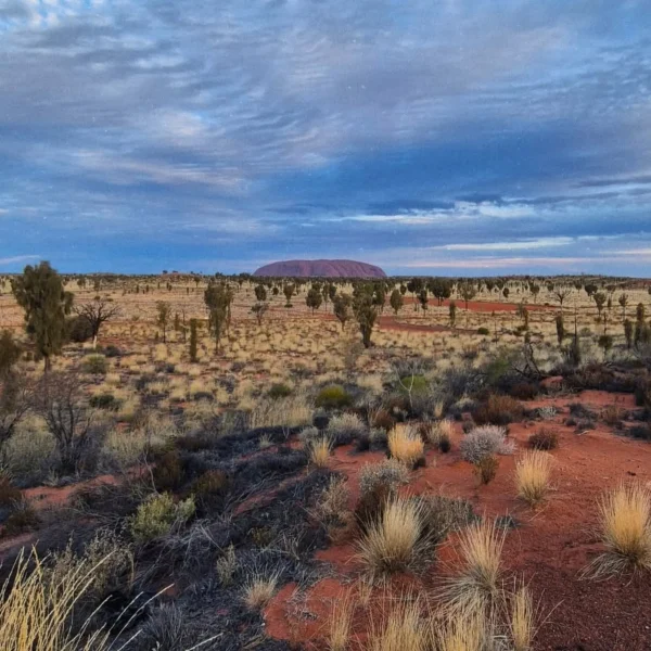 Shoulder Season Beats Peak in Uluru