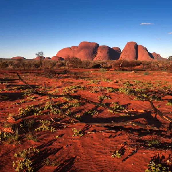 Staying at Yulara in 2026