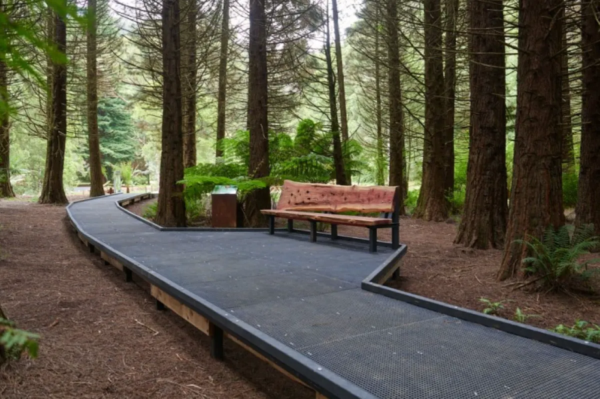 Stevensons Falls Campground