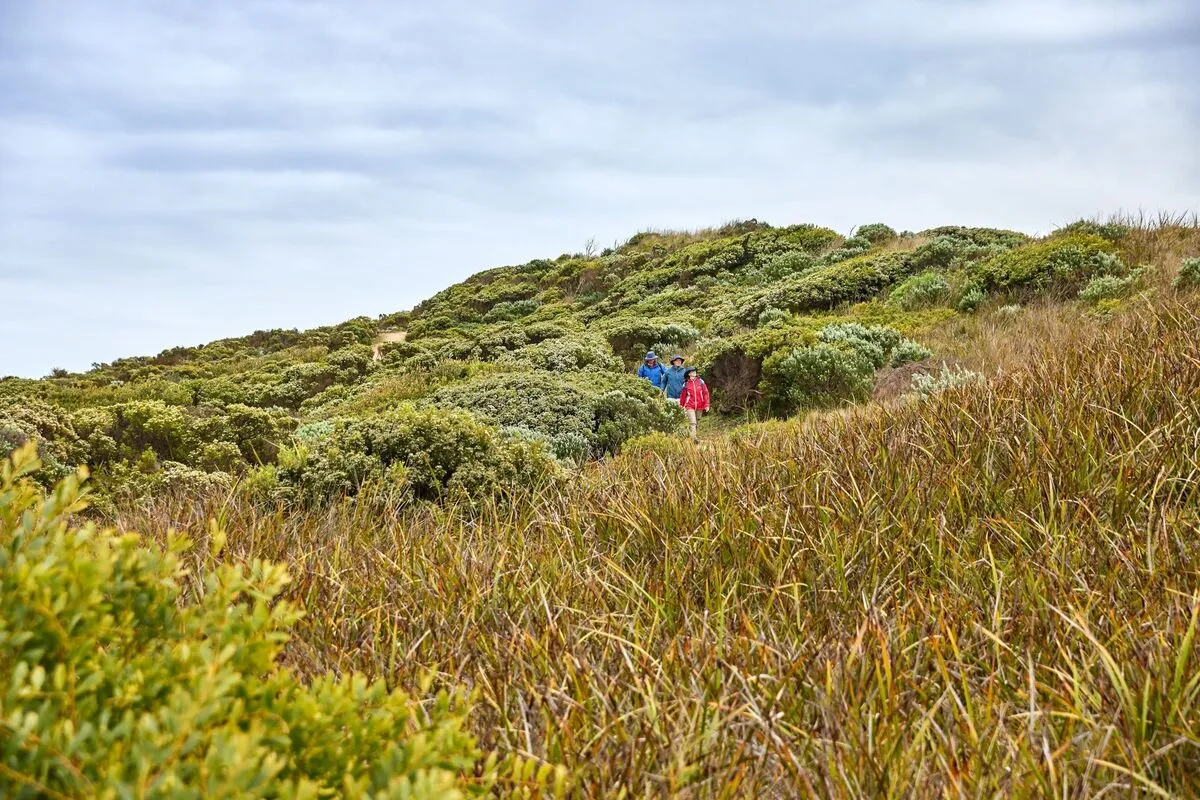 The best walks on the Great Ocean Road