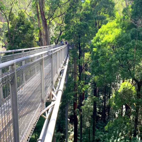 Things to Do in the Otways
