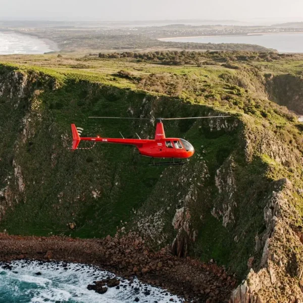 Things to do in Phillip Island