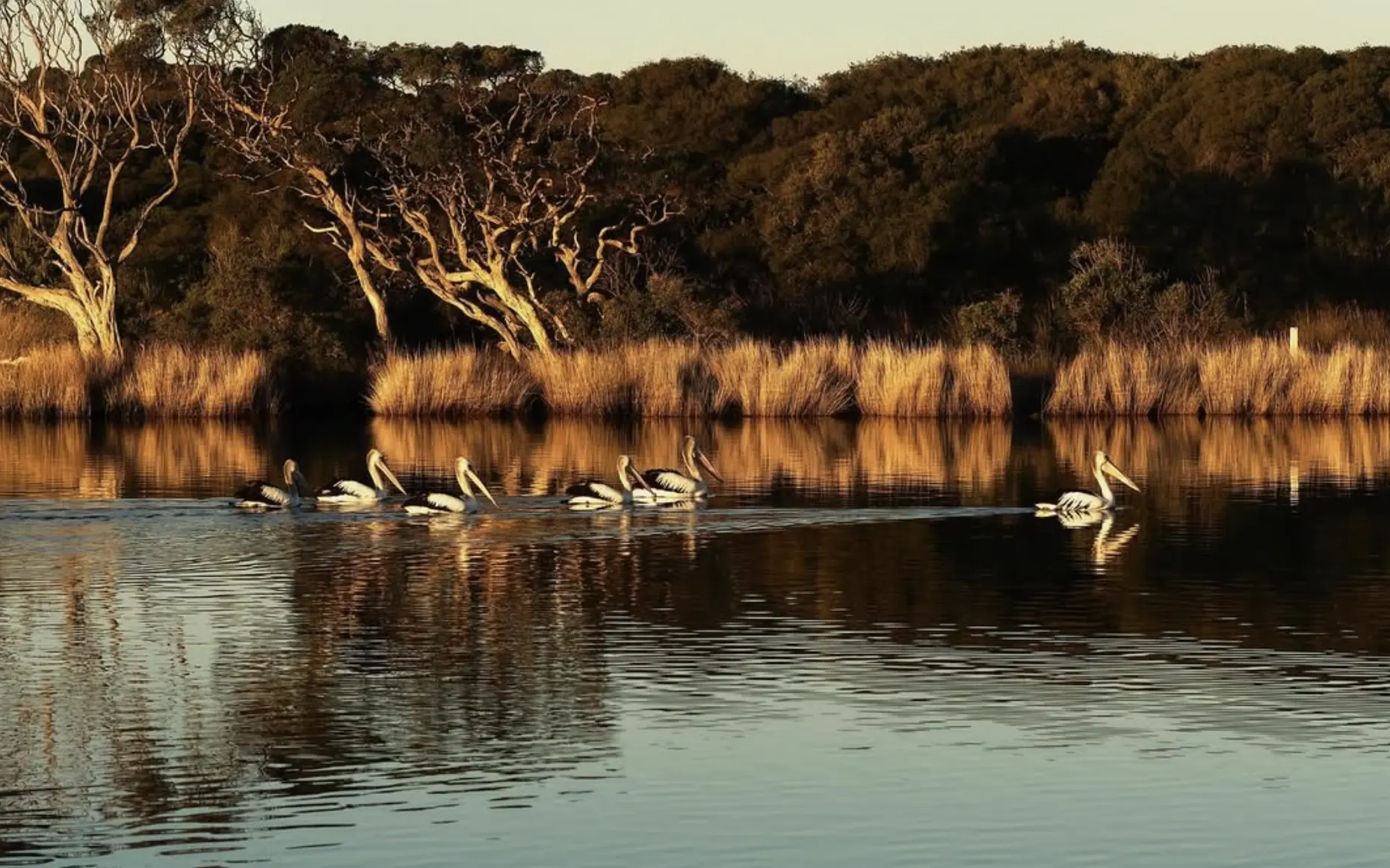 Top Spots For Water-Based Wildlife Watching