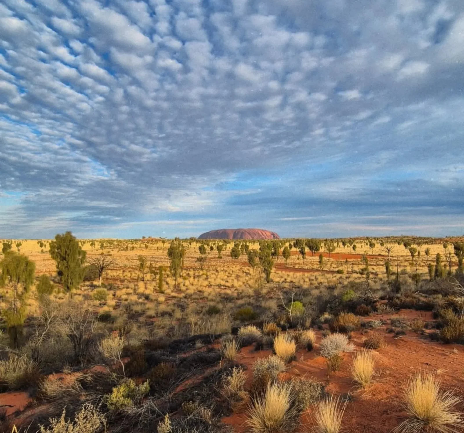 Uluru 2026 Budget Guide