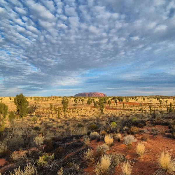 Uluru 2026 Budget Guide