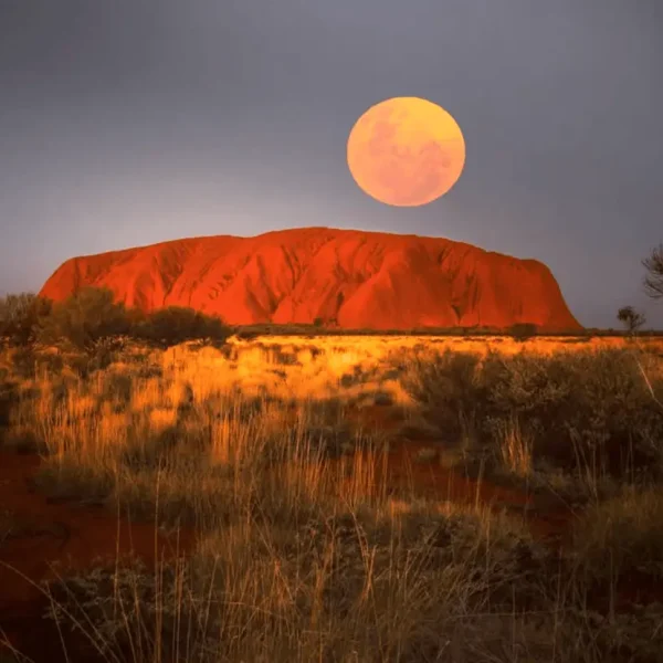 Uluru Tours