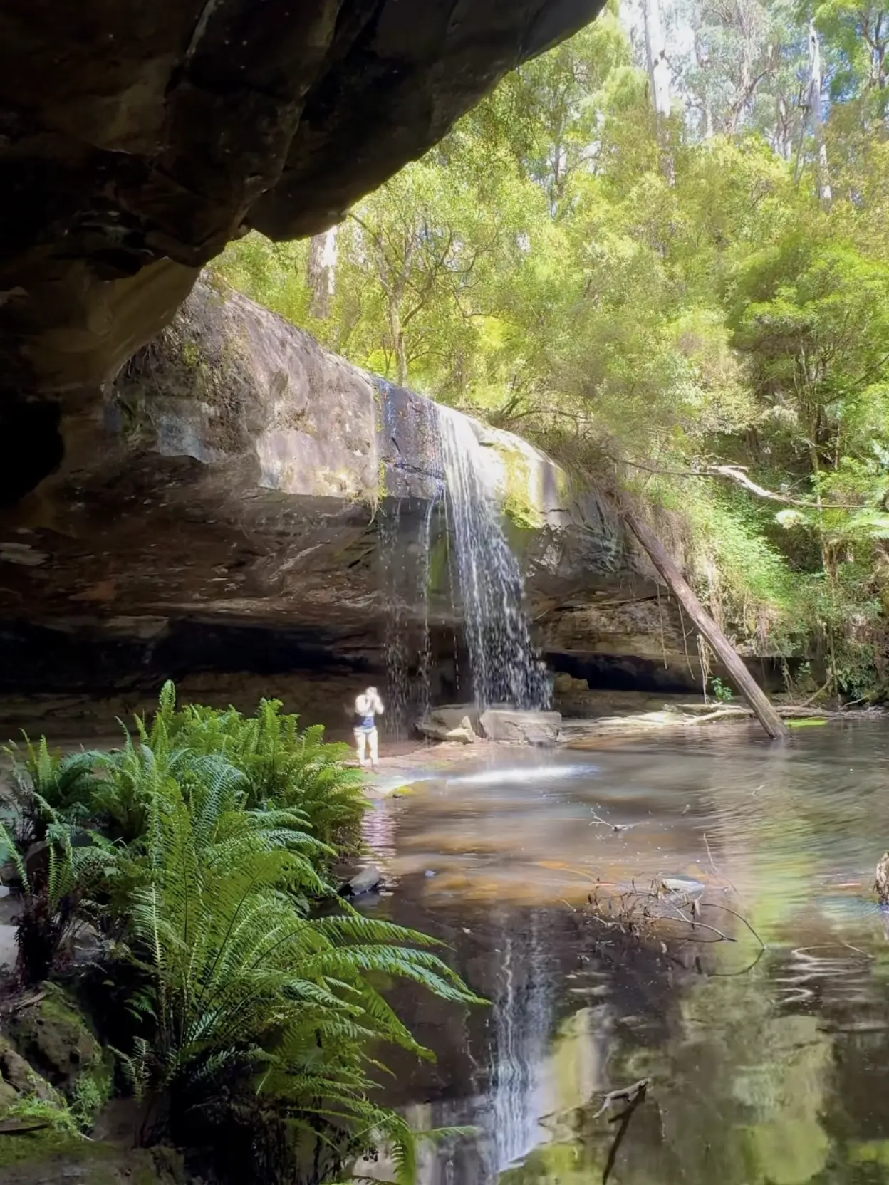 Upper Kalimna Falls