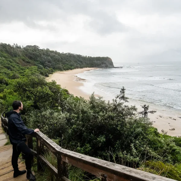 Whale watching on the Great Ocean Road