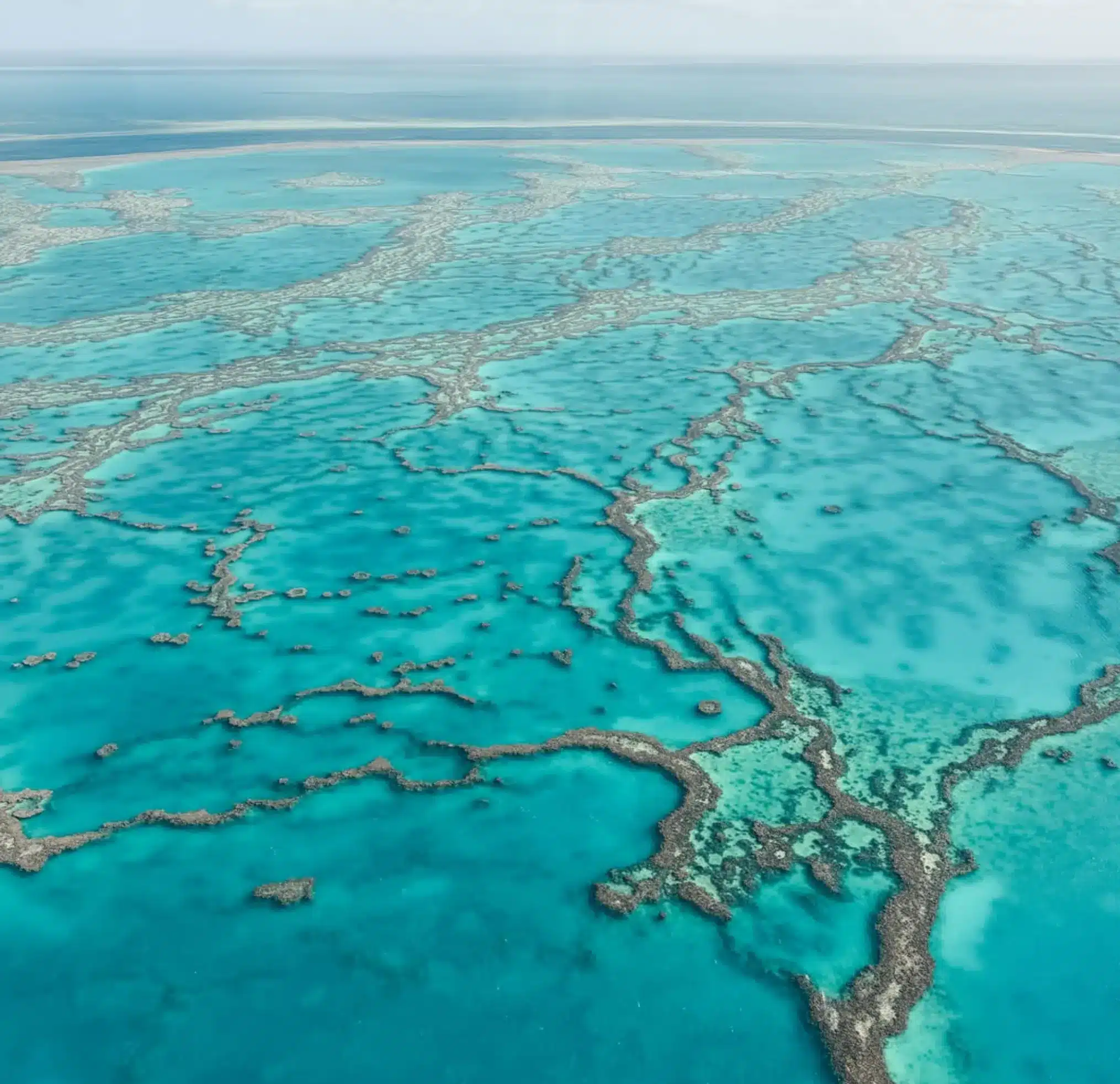 What's Actually Included On Most Reef Tours