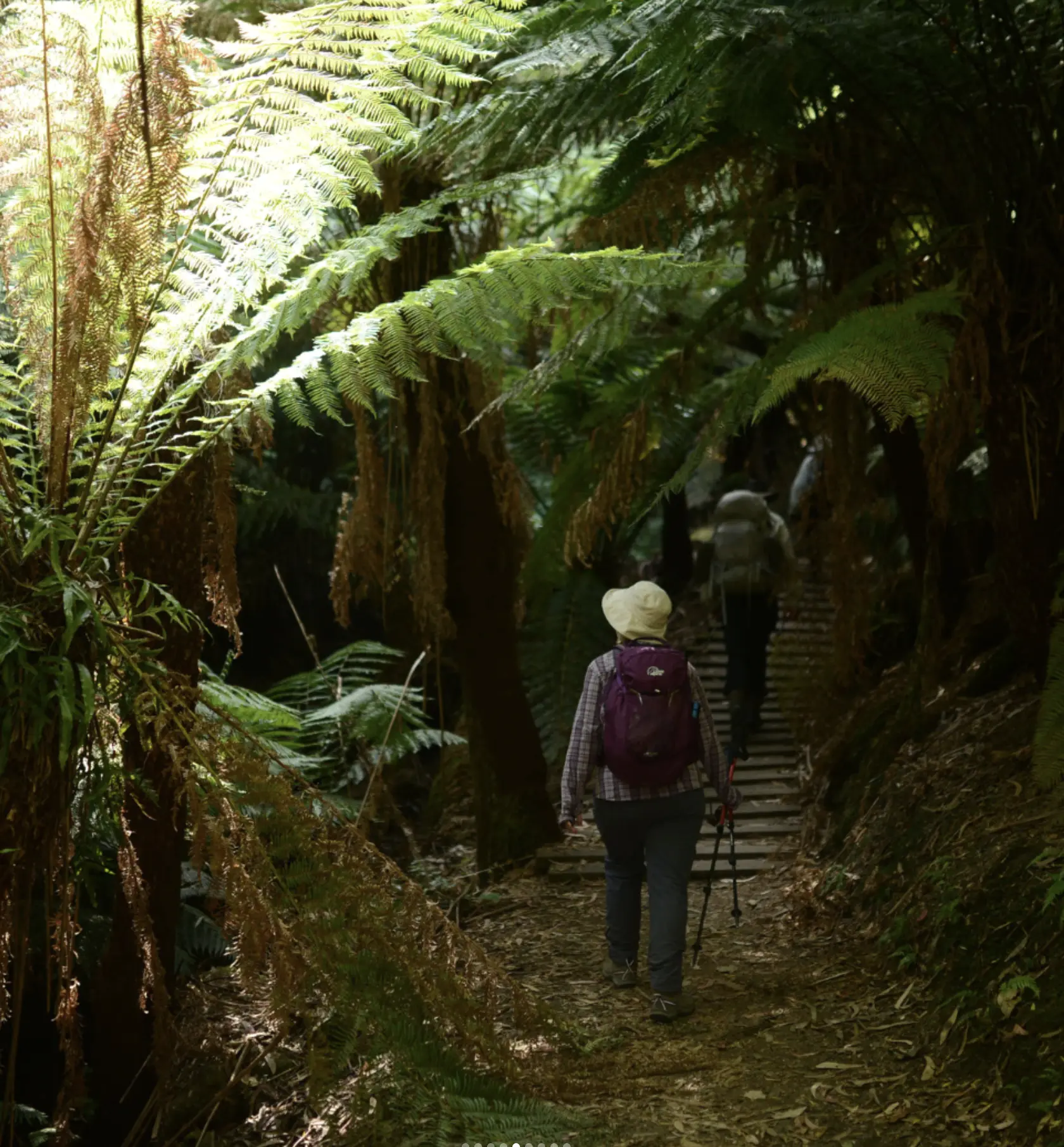 Wildlife Along The Trail