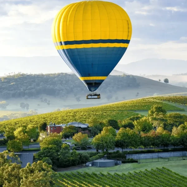 Yarra Valley Winery Tours