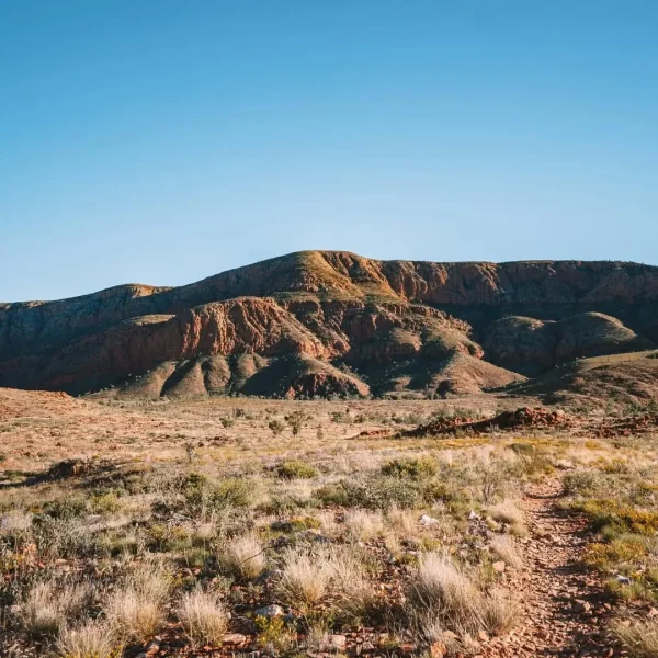 are guided Larapinta tours worth it