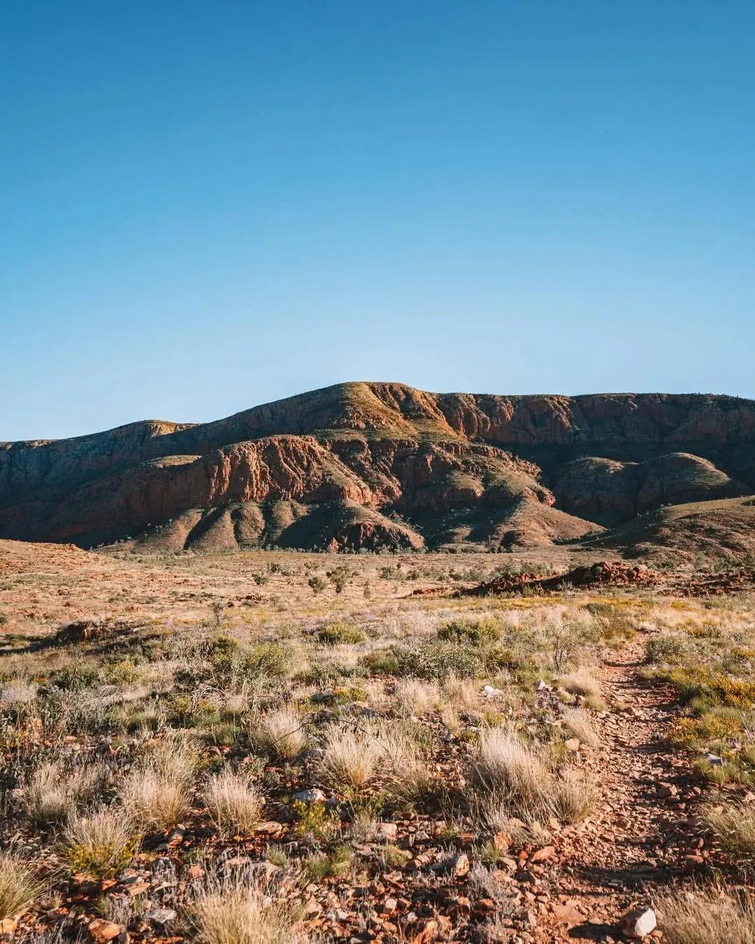 are guided Larapinta tours worth it