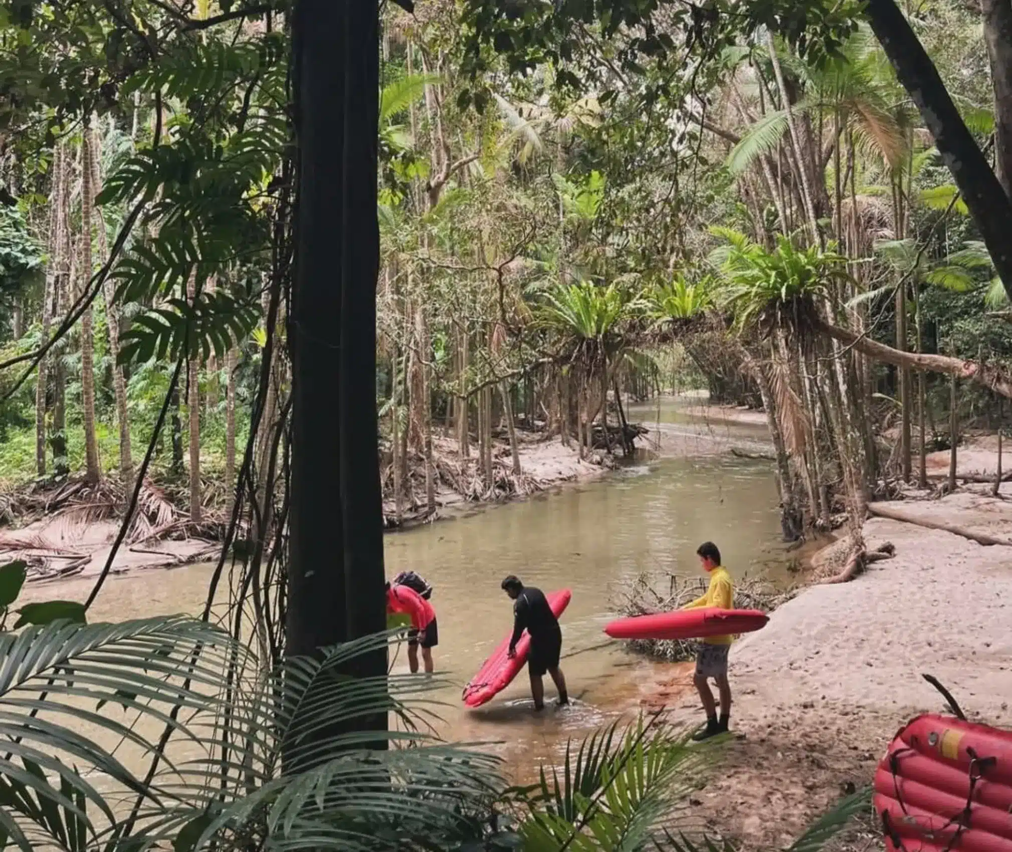 best Indigenous tours near Port Douglas