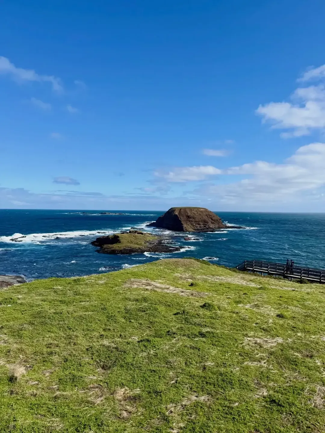 best beaches near Melbourne for toddlers