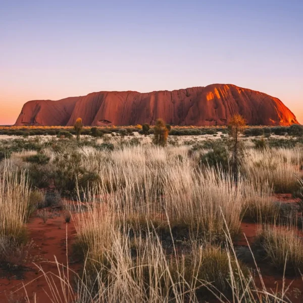 cultural side of thingsin Uluru