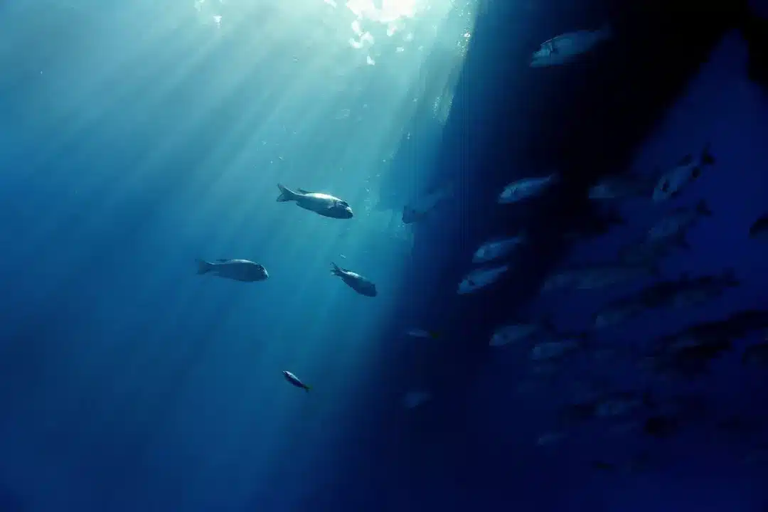 does flying to the Great Barrier Reef cause more damage
