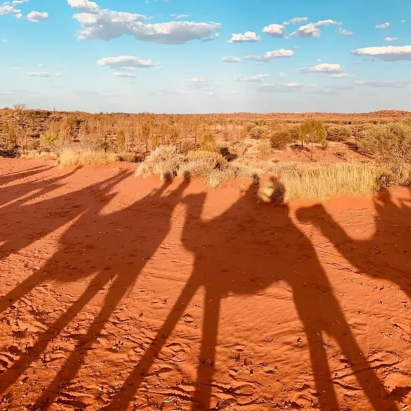 dry season at Ayers Rock Resort