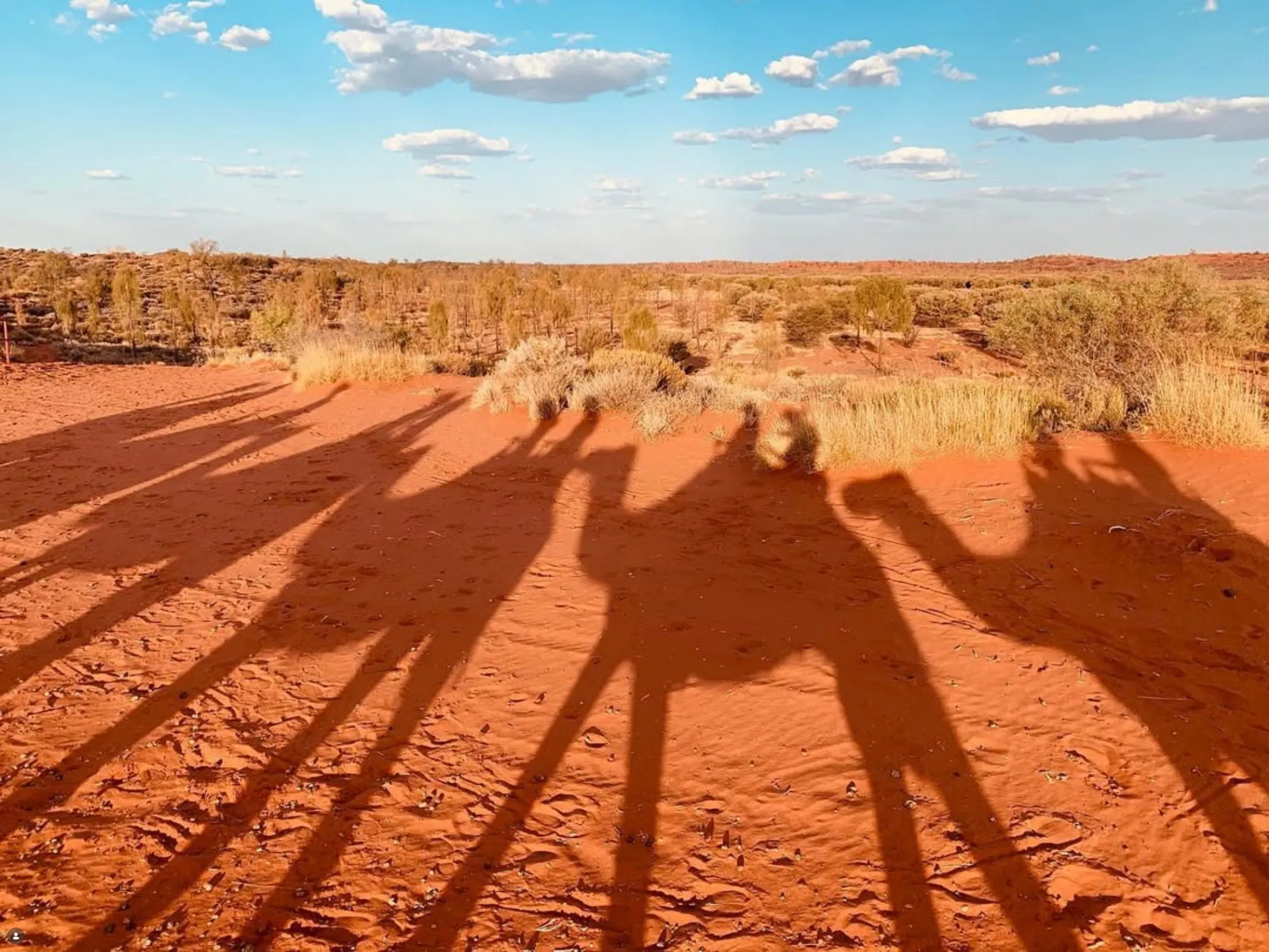 dry season at Ayers Rock Resort