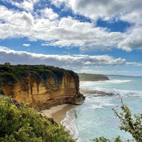 ecosystems along the Surf Coast Walk