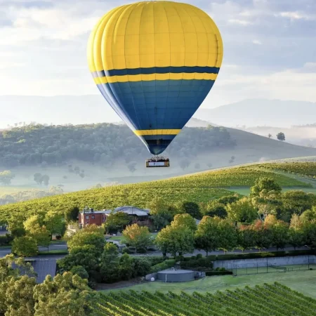 1 Day Yarra Valley Wine Tour