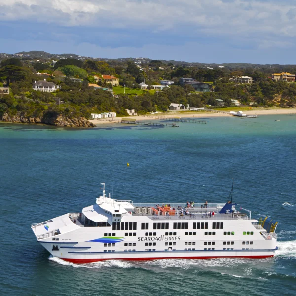 1 day great ocean road tour