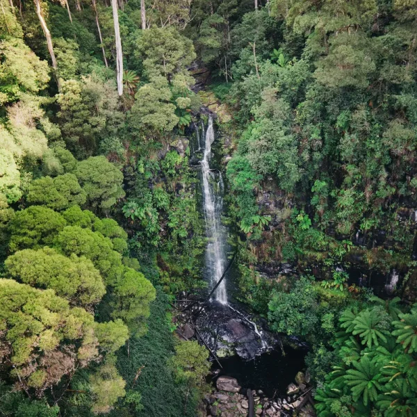 Erskine Falls