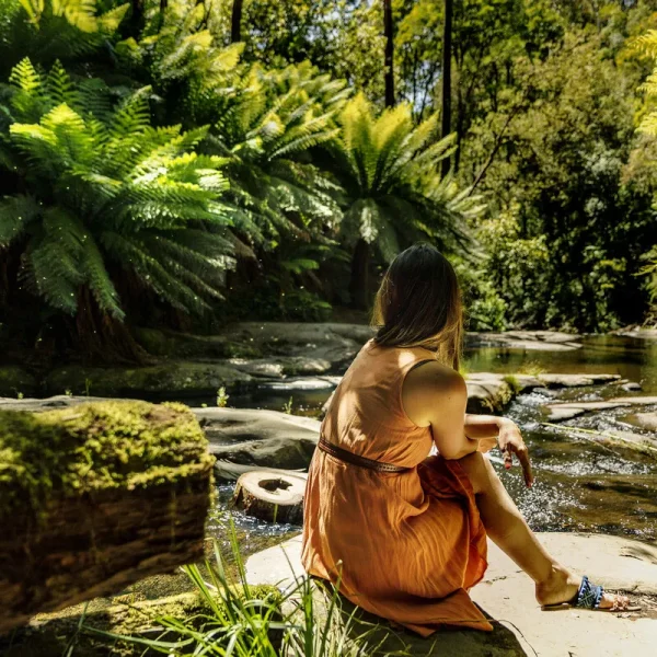 Erskine River Track