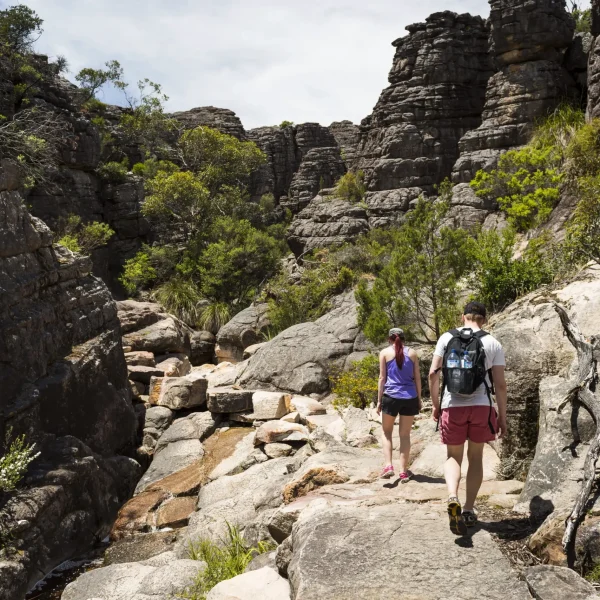 Hiking Trails
