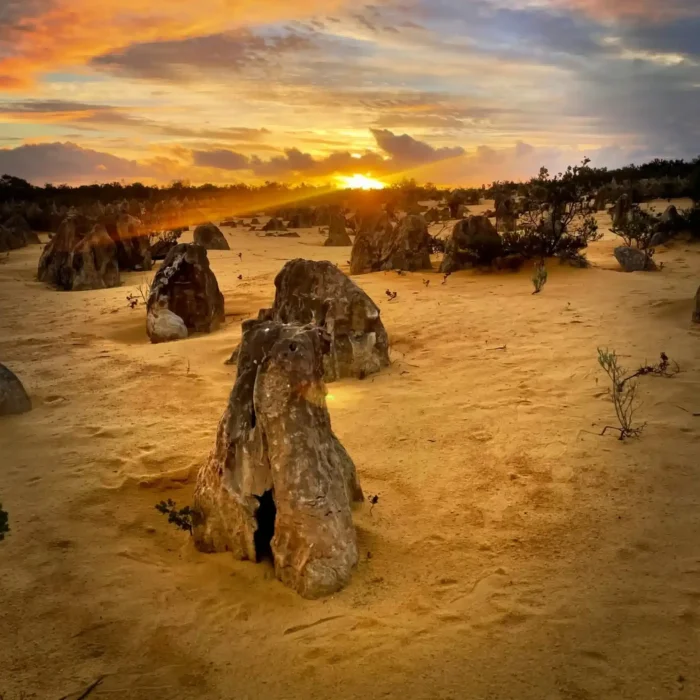 Nambung in the Pinnacles