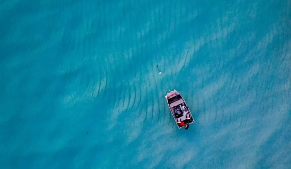 Ningaloo Reef vs Great Barrier Reef wildlife