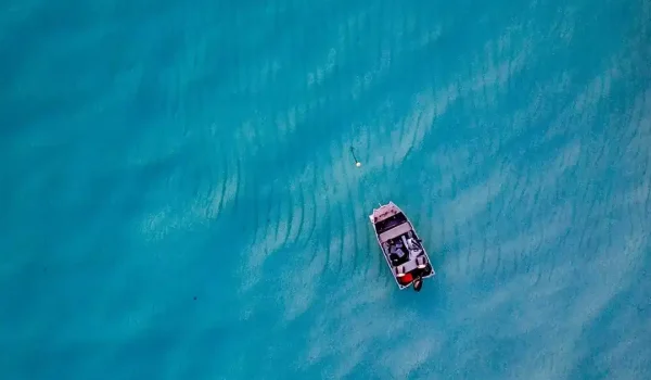 Ningaloo Reef vs Great Barrier Reef wildlife