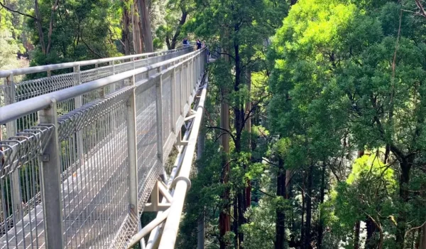 Things to Do in the Otways