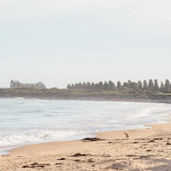 Warrnambool Tours