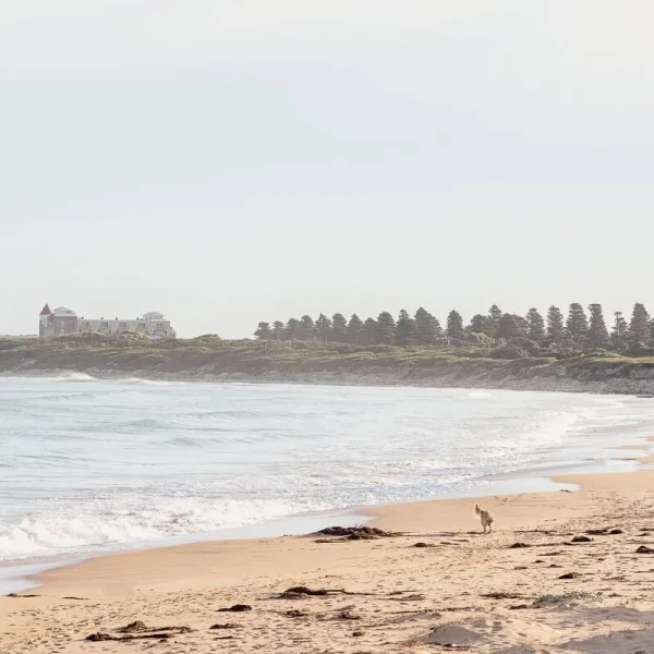 Warrnambool Tours