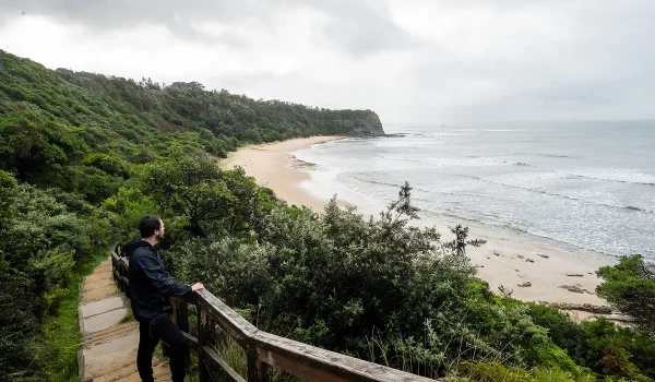 Whale watching on the Great Ocean Road