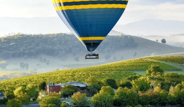 Yarra Valley Winery Tours