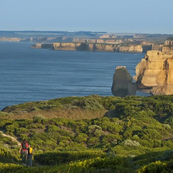 best great ocean road tour