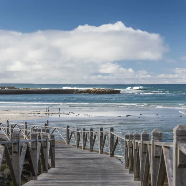 best great ocean road tours