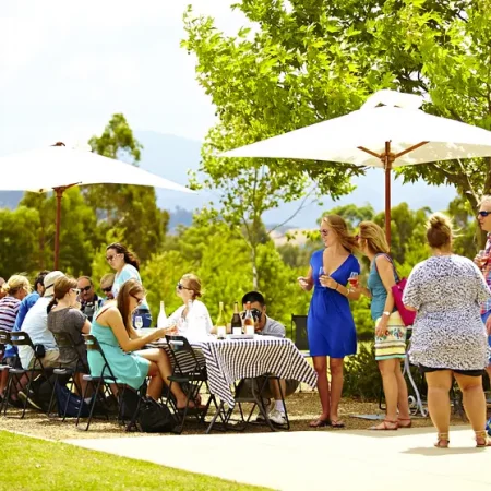 best melbourne wine tours