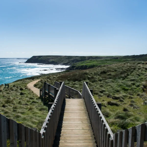 day trip melbourne to phillip island