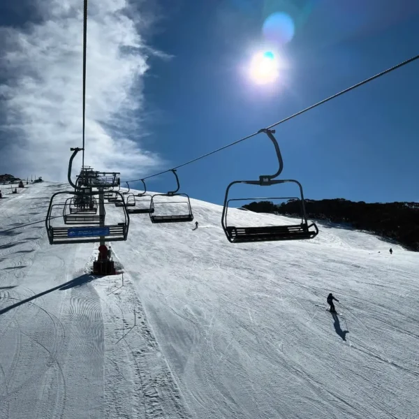 day trip to mount buller