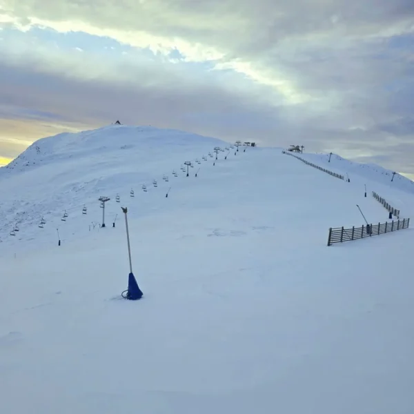 day trip to mt buller